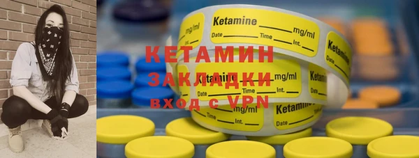 индика Новодвинск