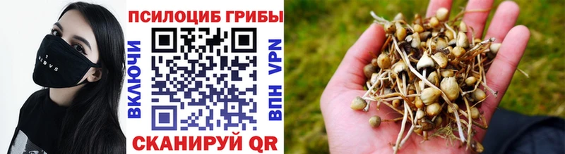 Псилоцибиновые грибы MAGIC MUSHROOMS  Куйбышев 
