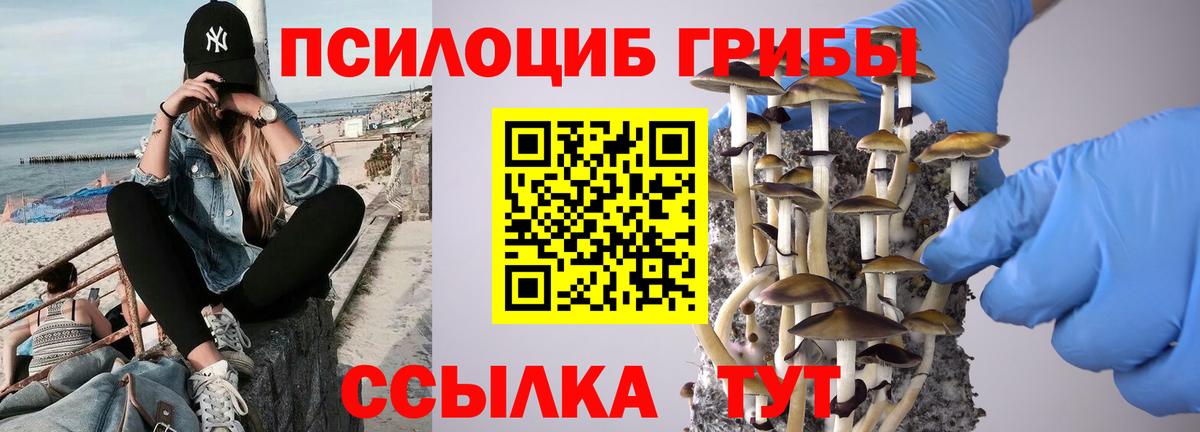 Галлюциногенные грибы ЛСД  даркнет сайт  Куйбышев  Псилоцибиновые грибы Magic Shrooms  Вход с VPN 