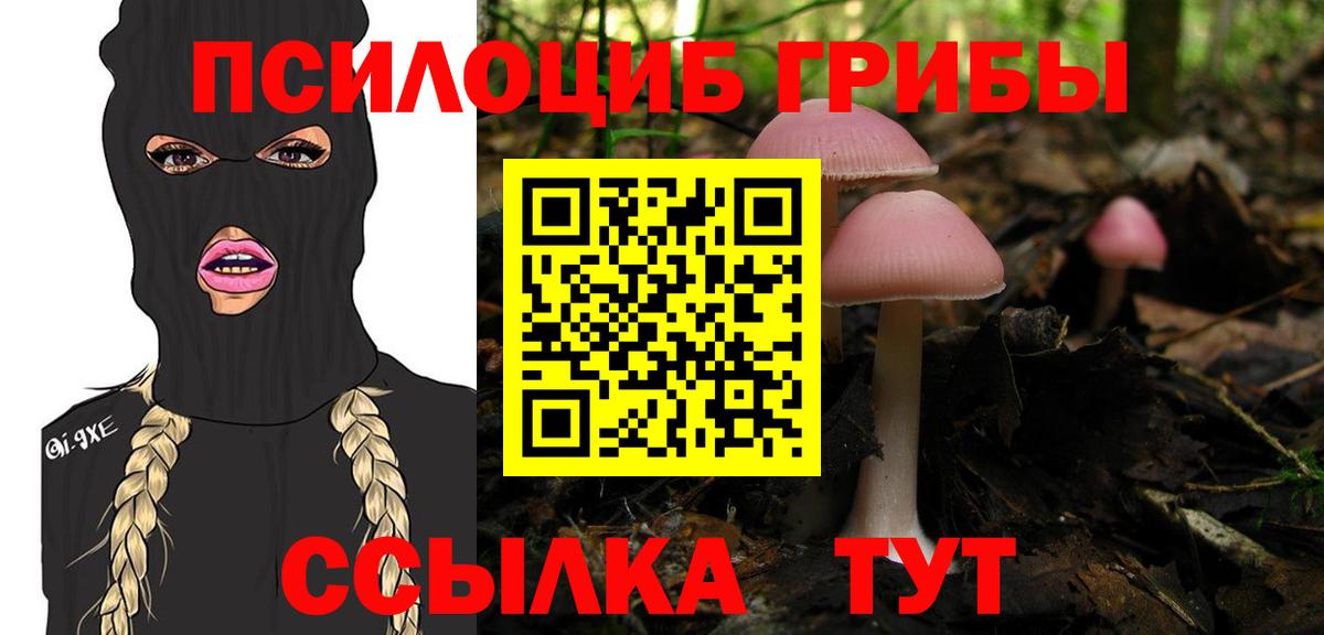 Галлюциногенные грибы мухоморы Куйбышев