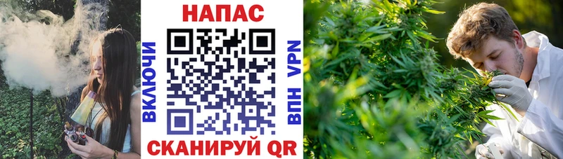 наркошоп  Куйбышев  Конопля VHQ 